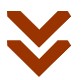 red arrow down icon